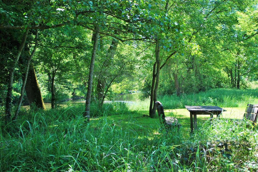 Domaine Les Gandins Bed and Breakfast Saint-Germain-de-Salles Εξωτερικό φωτογραφία